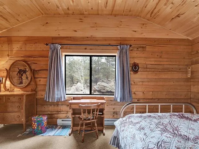 1462 Pulver Road Lake George, CO 80827