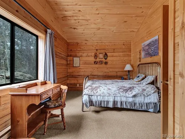 1462 Pulver Road Lake George, CO 80827