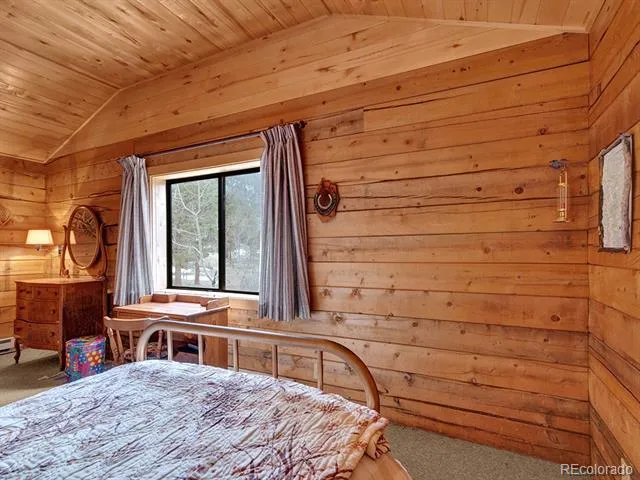 1462 Pulver Road Lake George, CO 80827