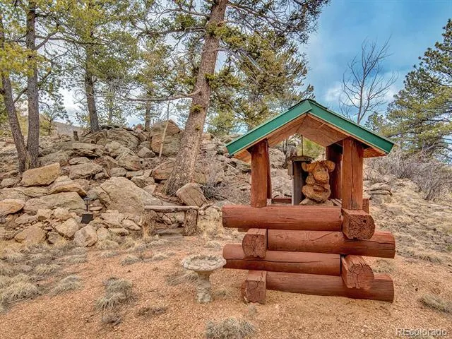 1462 Pulver Road Lake George, CO 80827