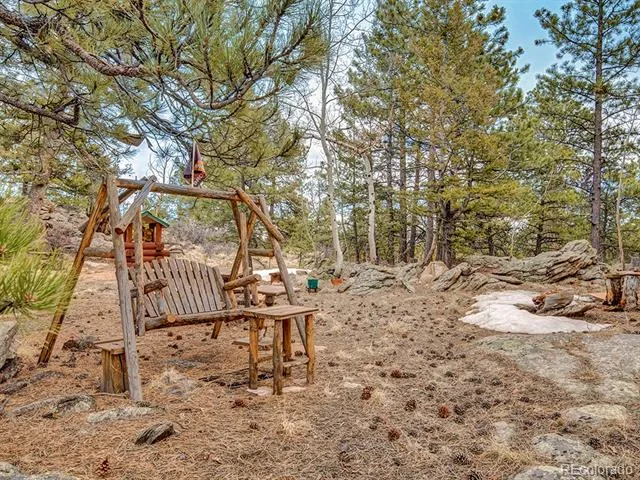 1462 Pulver Road Lake George, CO 80827