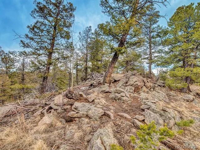 1462 Pulver Road Lake George, CO 80827
