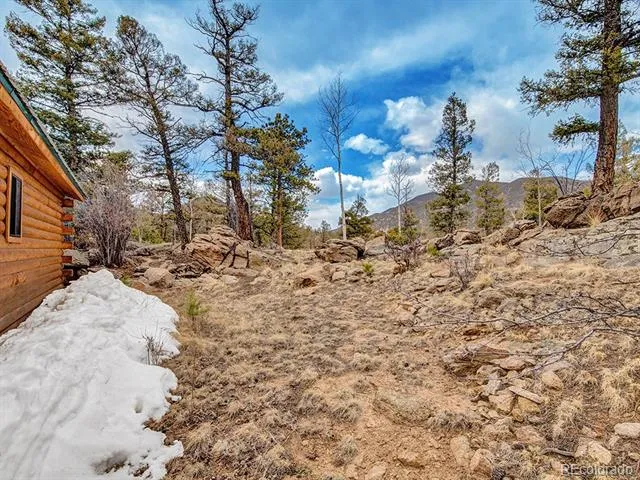 1462 Pulver Road Lake George, CO 80827