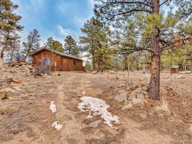 1462 Pulver Road Lake George, CO 80827