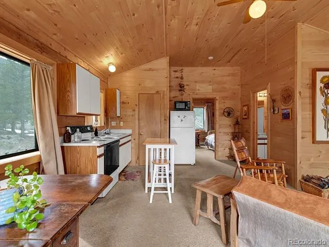 1462 Pulver Road Lake George, CO 80827