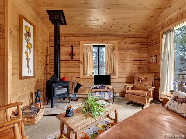 1462 Pulver Road Lake George, CO 80827