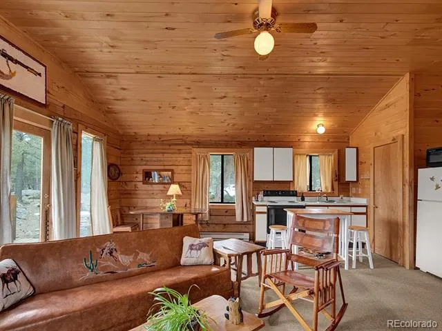 1462 Pulver Road Lake George, CO 80827