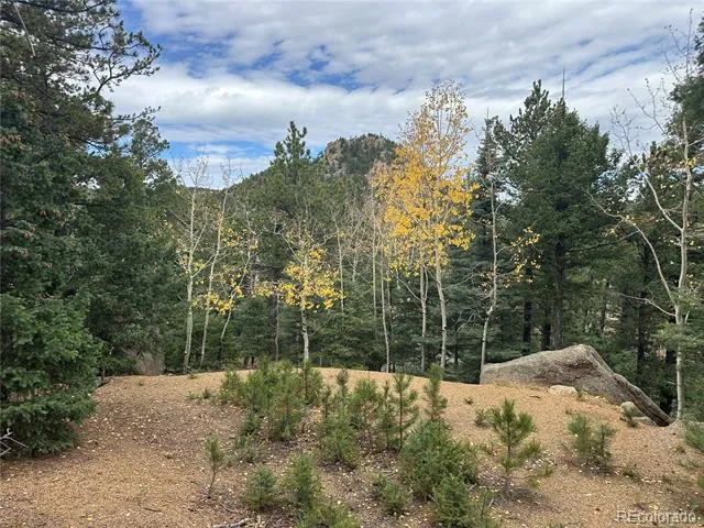 316 Summit Ridge Manitou Springs, CO 80829