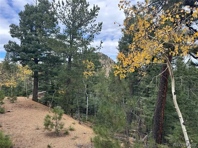 316 Summit Ridge Manitou Springs, CO 80829