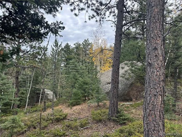316 Summit Ridge Manitou Springs, CO 80829