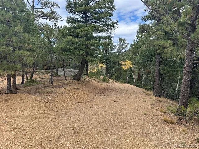 316 Summit Ridge Manitou Springs, CO 80829