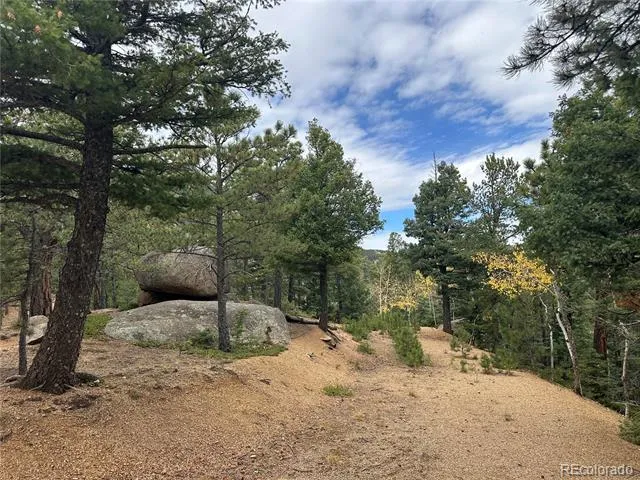 316 Summit Ridge Manitou Springs, CO 80829