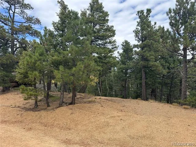 316 Summit Ridge Manitou Springs, CO 80829