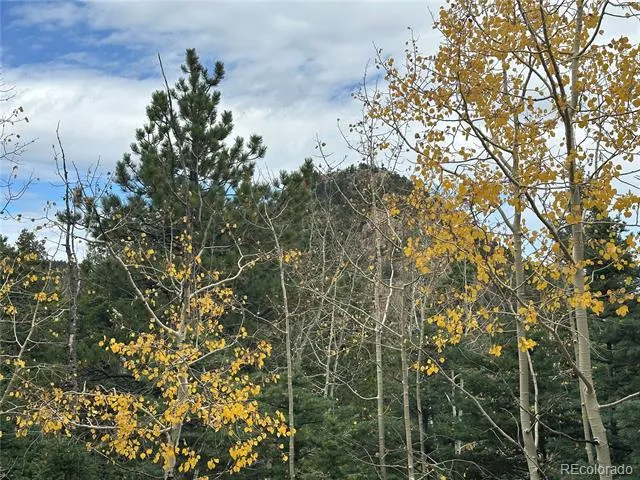 316 Summit Ridge Manitou Springs, CO 80829