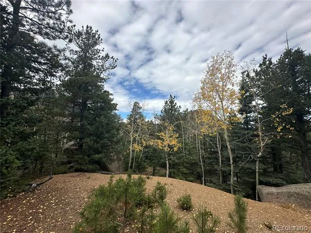 316 Summit Ridge Manitou Springs, CO 80829