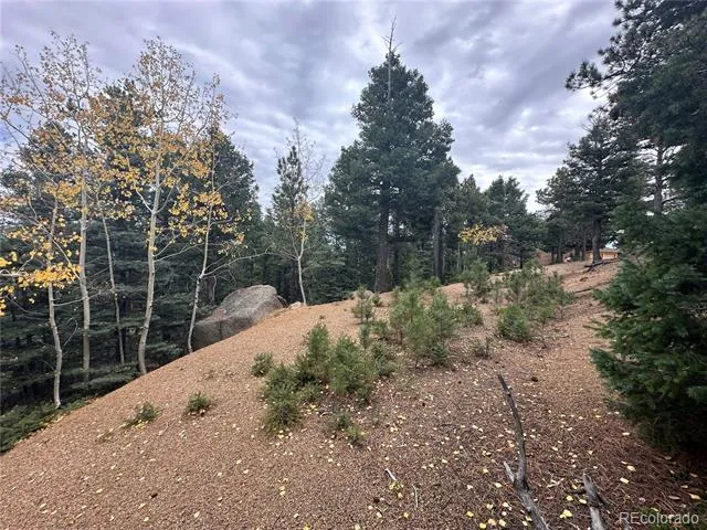 316 Summit Ridge Manitou Springs, CO 80829