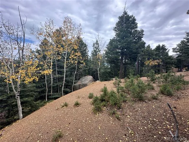 316 Summit Ridge Manitou Springs, CO 80829