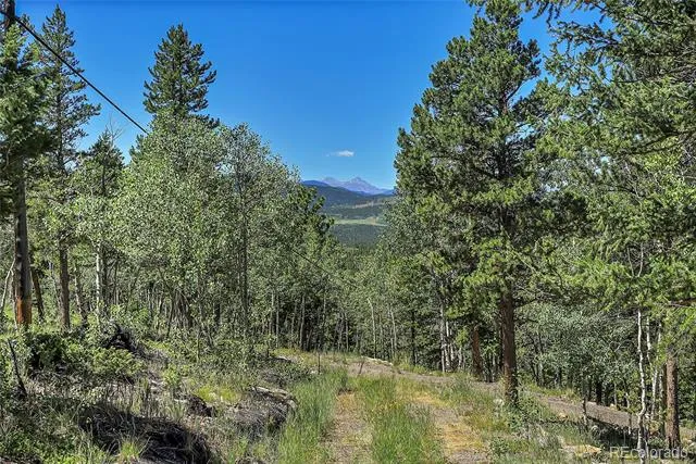 Block 9 Lot 4 Hughesville Road Black Hawk, CO 80422