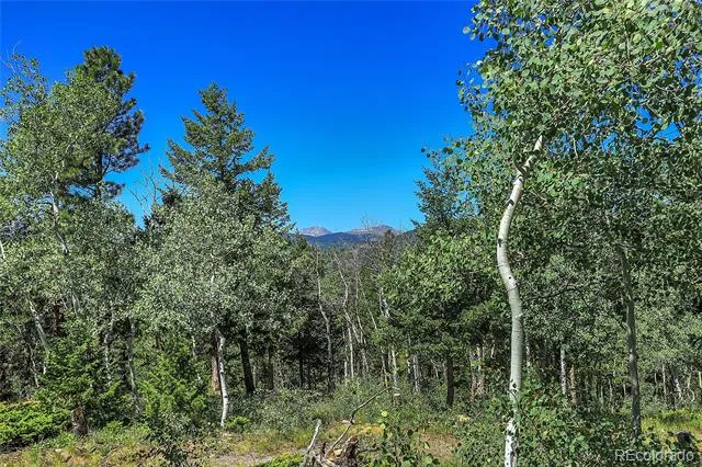Block 9 Lot 4 Hughesville Road Black Hawk, CO 80422