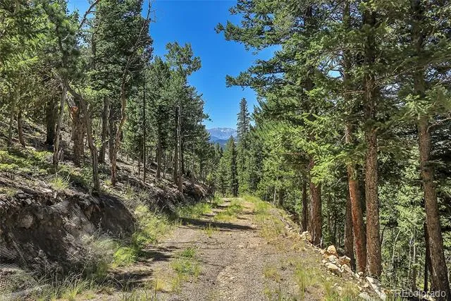 Block 9 Lot 4 Hughesville Road Black Hawk, CO 80422