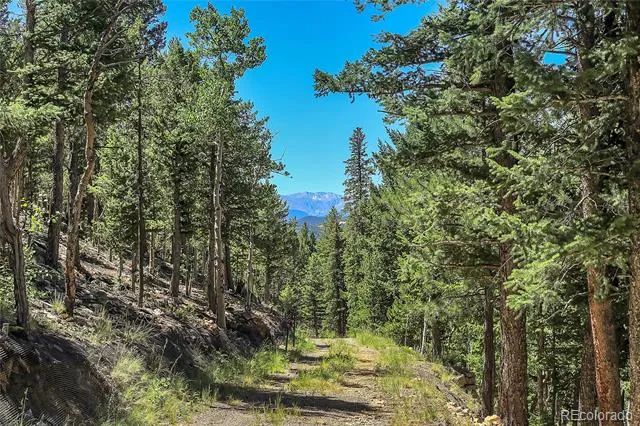 Block 9 Lot 4 Hughesville Road Black Hawk, CO 80422