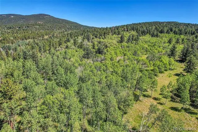 Block 9 Lot 4 Hughesville Road Black Hawk, CO 80422