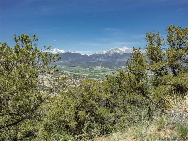 000 TBD County Road 115 Poncha Springs, CO 81242