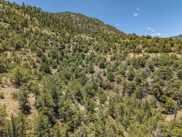 000 TBD County Road 115 Poncha Springs, CO 81242