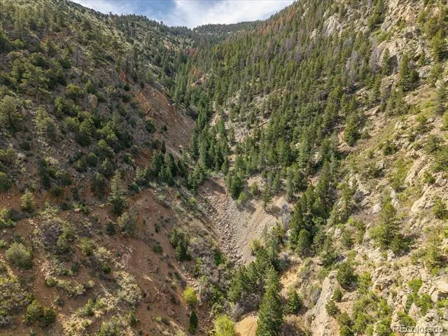 000 TBD County Road 115 Poncha Springs, CO 81242