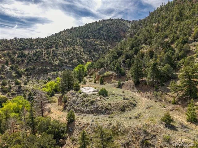 000 TBD County Road 115 Poncha Springs, CO 81242