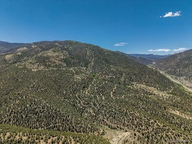 000 TBD County Road 115 Poncha Springs, CO 81242