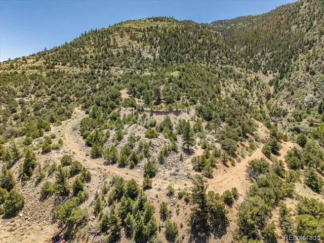 000 TBD County Road 115 Poncha Springs, CO 81242