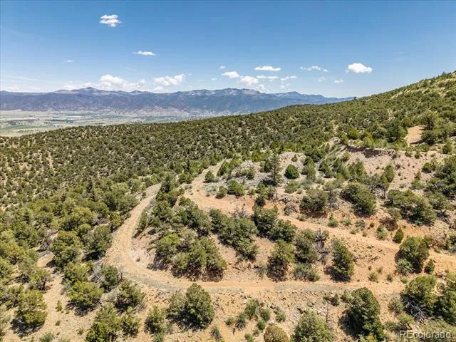 000 TBD County Road 115 Poncha Springs, CO 81242