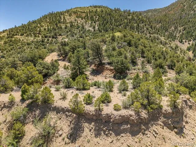 000 TBD County Road 115 Poncha Springs, CO 81242