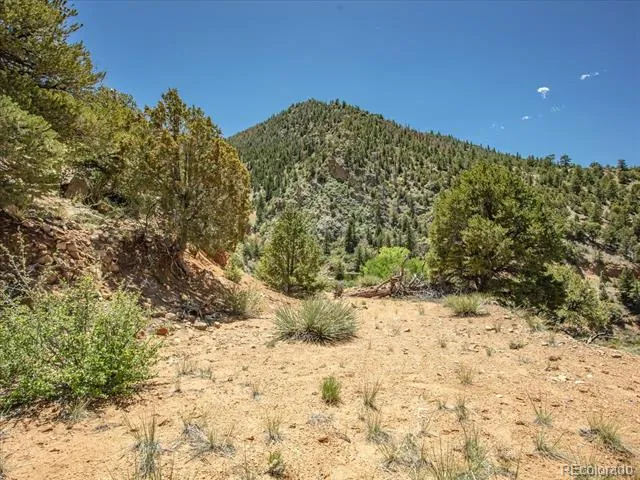 000 TBD County Road 115 Poncha Springs, CO 81242