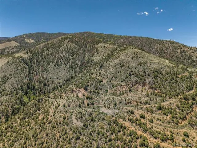 000 TBD County Road 115 Poncha Springs, CO 81242