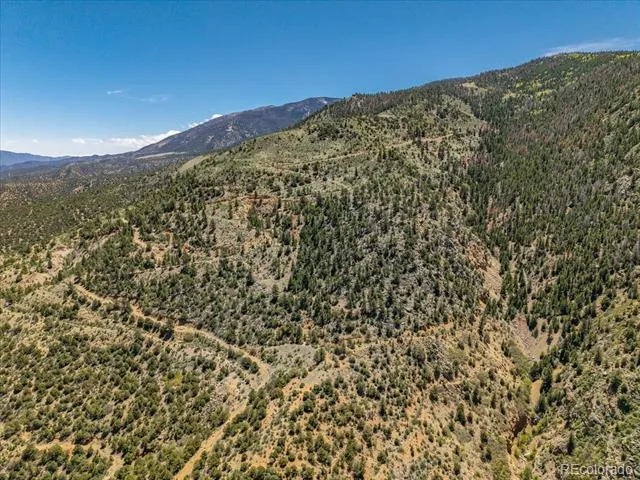 000 TBD County Road 115 Poncha Springs, CO 81242