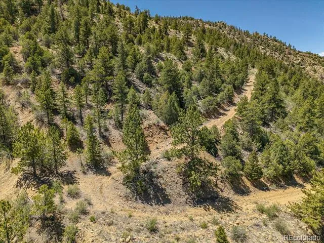 000 TBD County Road 115 Poncha Springs, CO 81242