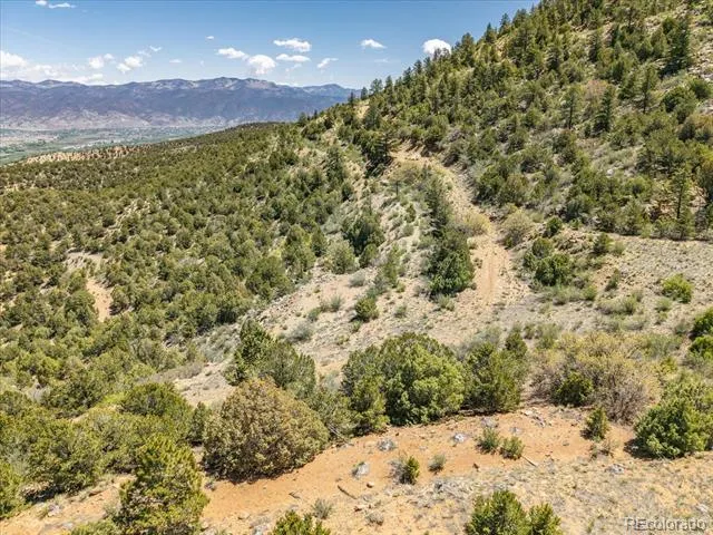 000 TBD County Road 115 Poncha Springs, CO 81242