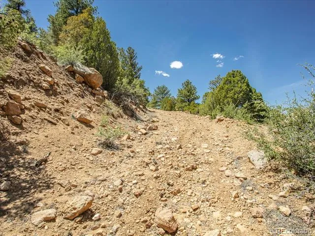 000 TBD County Road 115 Poncha Springs, CO 81242