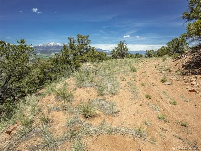 000 TBD County Road 115 Poncha Springs, CO 81242