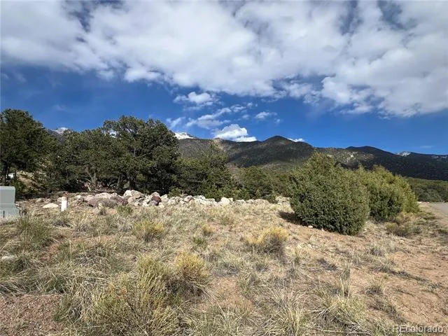 1794 Willow Creek Way Crestone, CO 81131