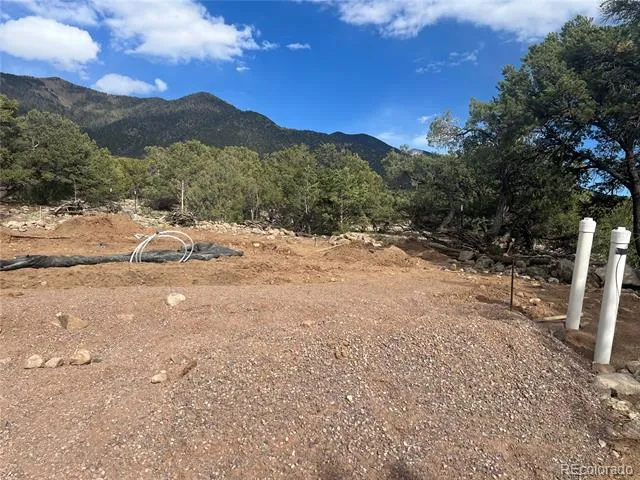 1794 Willow Creek Way Crestone, CO 81131