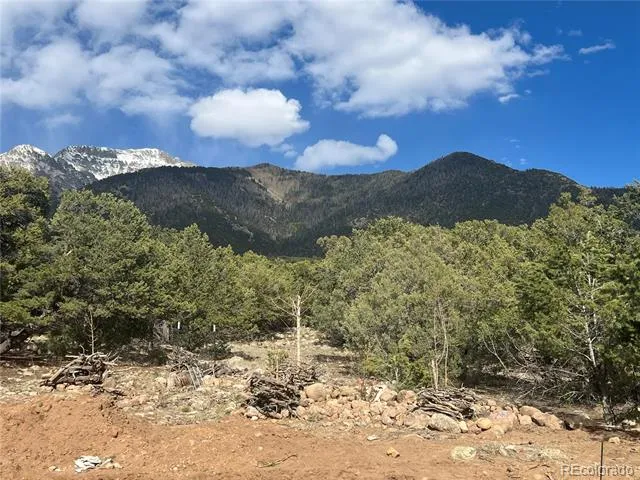 1794 Willow Creek Way Crestone, CO 81131