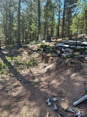 67 Gerka Lane Florissant, CO 80816