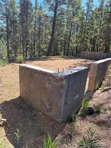 67 Gerka Lane Florissant, CO 80816
