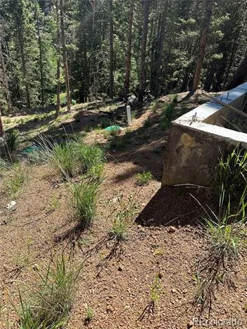 67 Gerka Lane Florissant, CO 80816