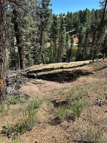 67 Gerka Lane Florissant, CO 80816