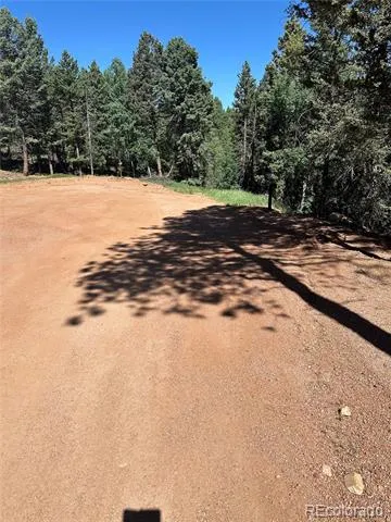 67 Gerka Lane Florissant, CO 80816