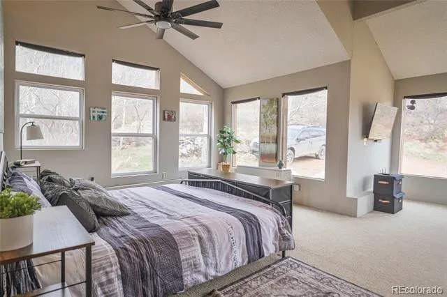 Address Not Shown La Veta, CO 81055
